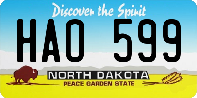 ND license plate HAO599