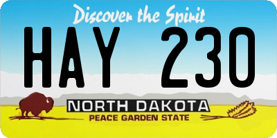 ND license plate HAY230