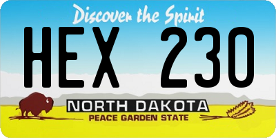 ND license plate HEX230