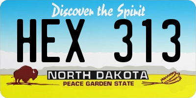 ND license plate HEX313