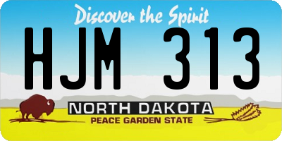 ND license plate HJM313