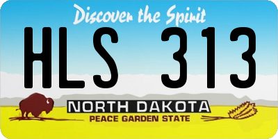 ND license plate HLS313