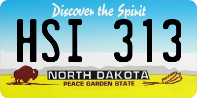 ND license plate HSI313