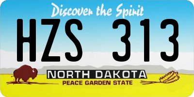 ND license plate HZS313