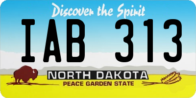 ND license plate IAB313