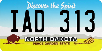 ND license plate IAD313