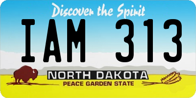 ND license plate IAM313