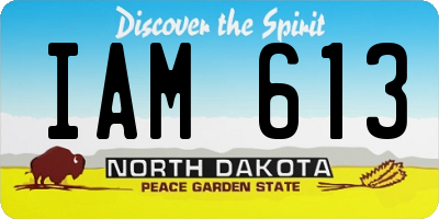 ND license plate IAM613