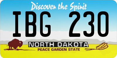 ND license plate IBG230