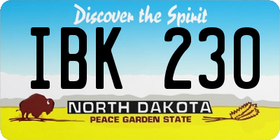 ND license plate IBK230