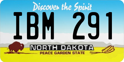 ND license plate IBM291