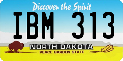 ND license plate IBM313