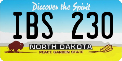 ND license plate IBS230