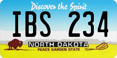 ND license plate IBS234