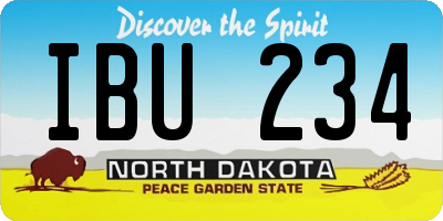 ND license plate IBU234
