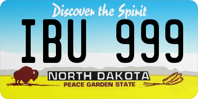 ND license plate IBU999