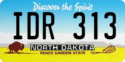 ND license plate IDR313