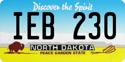 ND license plate IEB230