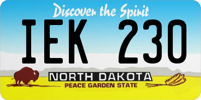ND license plate IEK230