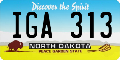 ND license plate IGA313