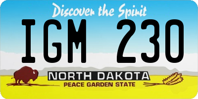 ND license plate IGM230