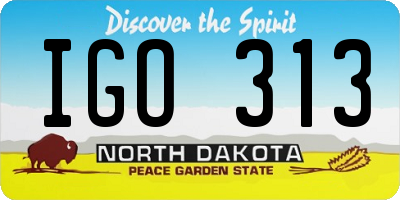 ND license plate IGO313