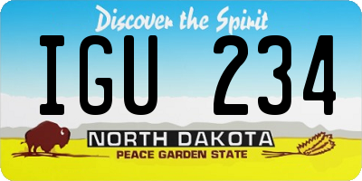 ND license plate IGU234
