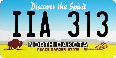 ND license plate IIA313