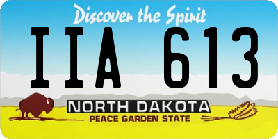 ND license plate IIA613