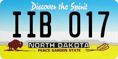 ND license plate IIB017