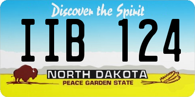 ND license plate IIB124