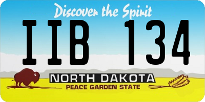 ND license plate IIB134