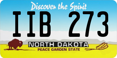 ND license plate IIB273