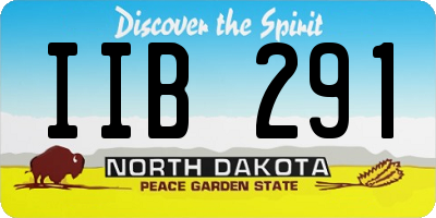ND license plate IIB291