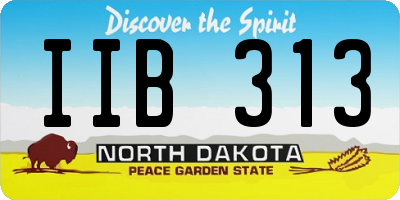 ND license plate IIB313
