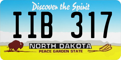 ND license plate IIB317