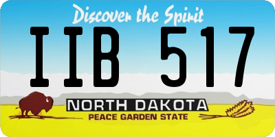 ND license plate IIB517