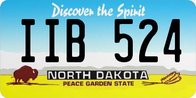ND license plate IIB524