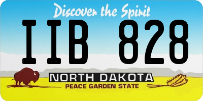 ND license plate IIB828