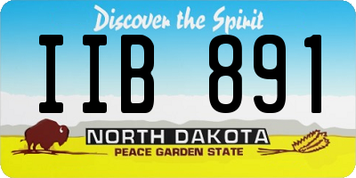 ND license plate IIB891
