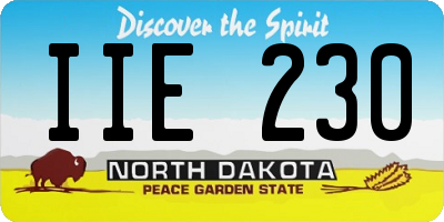 ND license plate IIE230