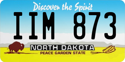 ND license plate IIM873