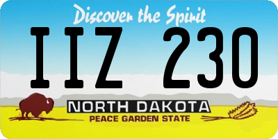 ND license plate IIZ230