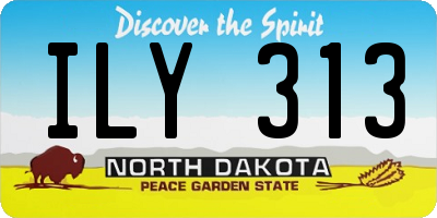 ND license plate ILY313