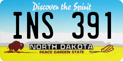 ND license plate INS391