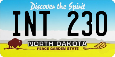 ND license plate INT230