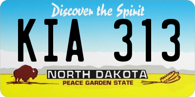 ND license plate KIA313