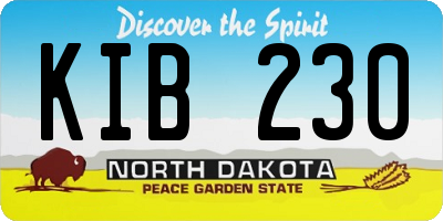 ND license plate KIB230