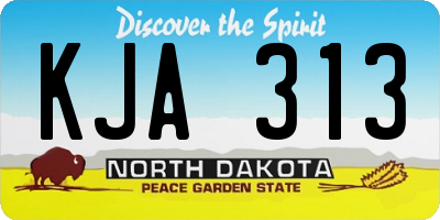 ND license plate KJA313