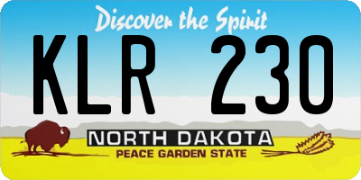 ND license plate KLR230